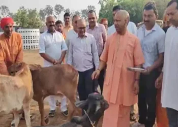 HOLI FESTIVAL :सीएम योगी ने गौ माता को लगाया गुलाल ,पक्षियों को खिलाया दाना