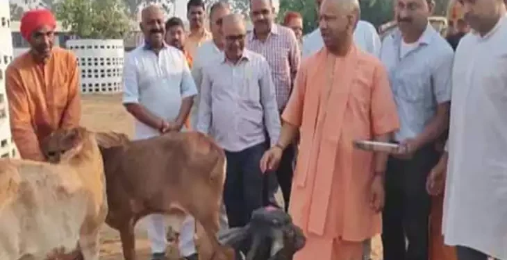 HOLI FESTIVAL :सीएम योगी ने गौ माता को लगाया गुलाल ,पक्षियों को खिलाया दाना