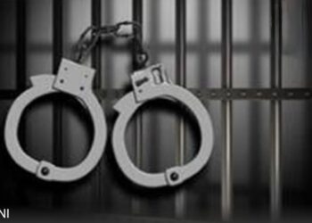 अमेरिका में भारतीय छात्र गिरफ्तार: हमास से कनेक्शन या राजनीतिक साजिश?