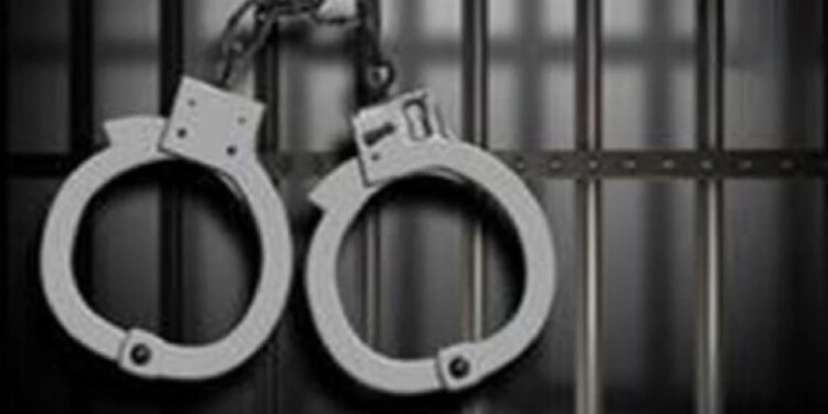 अमेरिका में भारतीय छात्र गिरफ्तार: हमास से कनेक्शन या राजनीतिक साजिश?