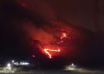 दक्षिण कोरिया के जंगलों में तबाही! 100 हेलीकॉप्टर और 9 हजार बचावकर्मी जुटे, आग से मचा हाहाकार