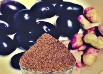 Benefits of jamun kernels:सेहत के लिए वरदान है जामुन की गुठली का चूर्ण