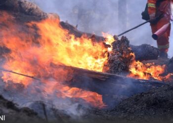 चीन के लियाओयांग शहर में रेस्तरां में भयंकर आग, 22 की मौत, 3 घायल