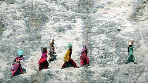 एक गर्म लहर बना देती है आगे के लिए भी आधार -विजय गर्ग 