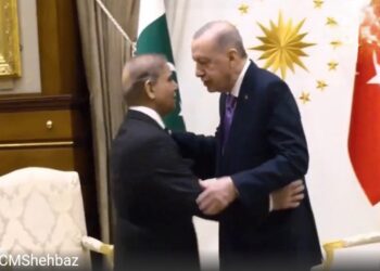 तुर्की ने फिर दिखाया पाकिस्तान प्रेम: एर्दोगन बोले– ‘नुकसान की नहीं सोचते’, शहबाज को बताया अनमोल भाई