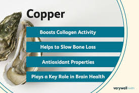 तांबा मजबूत हड्डियों और सुंदर त्वचा के लिए आवश्यक है-  विजय गर्ग 