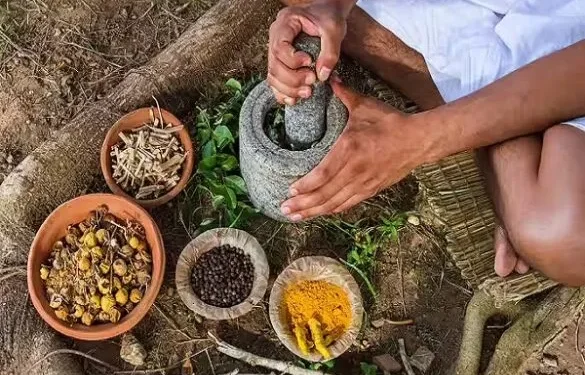 NEW DELHI-आयुष मंत्रालय ने आयुर्वेद परंपरा ऋतु शोधन के बारे में दी जानकारी