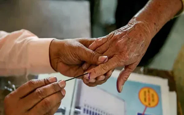 Assembly by-elections