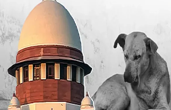 नई दिल्ली-सुप्रीम कोर्ट ने स्ट्रीट डॉग मामले की सुनवाई के दौरान कही ये बड़ी बात