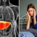 लगातार बढ़ रहे हैं फैटी लीवर के मामले ,भारत में 38% लोग इस बीमारी से हैं प्रभावित, जानें मुख्य संकेत