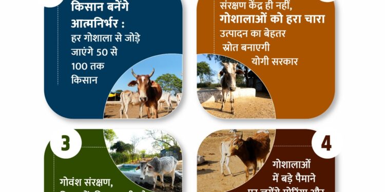 LUCKNOW-7500 गोशालाएं बनेंगी कैटल फूड सिक्योरिटी हब*