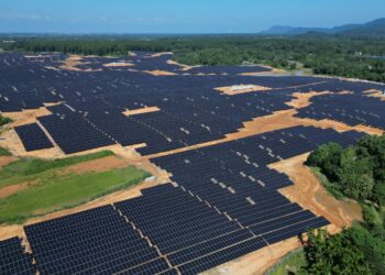 शिमला-एसजेवीएन ने असम में 70 मेगावाट धुबरी सौर ऊर्जा परियोजना का सीओडी हासिल किया