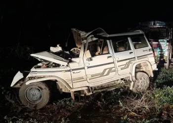 आगरा-कैला देवी मंदिर के दर्शन कर वापस लौट रहे श्रद्धालुओं की बोलेरो गाड़ी पेड़ से टकराई ,5 की मौत