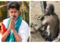 नई दिल्ली-सरकार गठन में देरी से भड़के TVK सपोर्टर