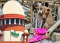 नई दिल्ली-सुप्रीम कोर्ट ने इस तरह के आवारा कुत्तों को मारने के लिए जारी किये दिशा निर्देश
