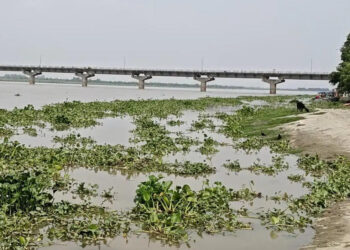 कन्नौज: गंगा में हर दिन बढ़ने लग गया जलस्तर – ब्रेकिंग न्यूज एक्सप्रेस | Latest Hindi News | Breaking News | Politics | Sports – Breaking News Express